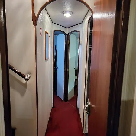 船屋 Don Maximo Yacht 比戈