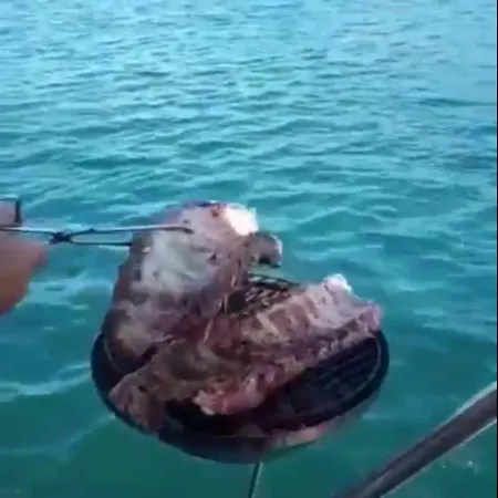 Tekne Don Maximo Yacht
