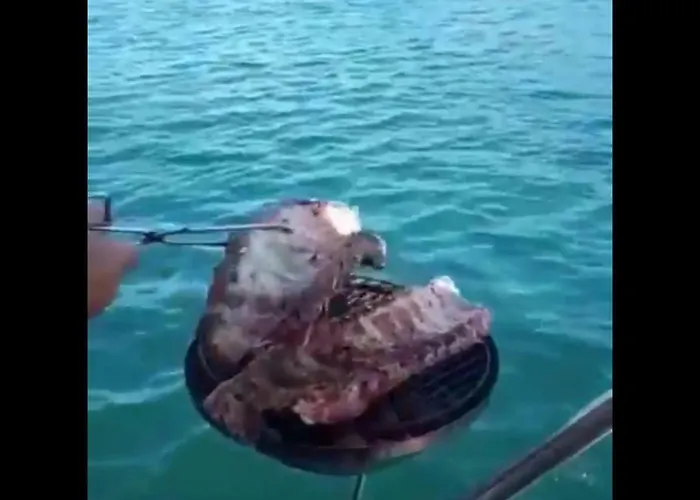 Πλωτό κατάλυμα Don Maximo Yacht